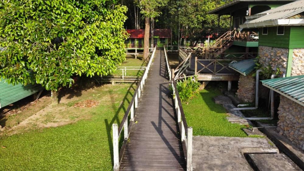 Sukau Greenview Bed & Breakfast Экстерьер фото